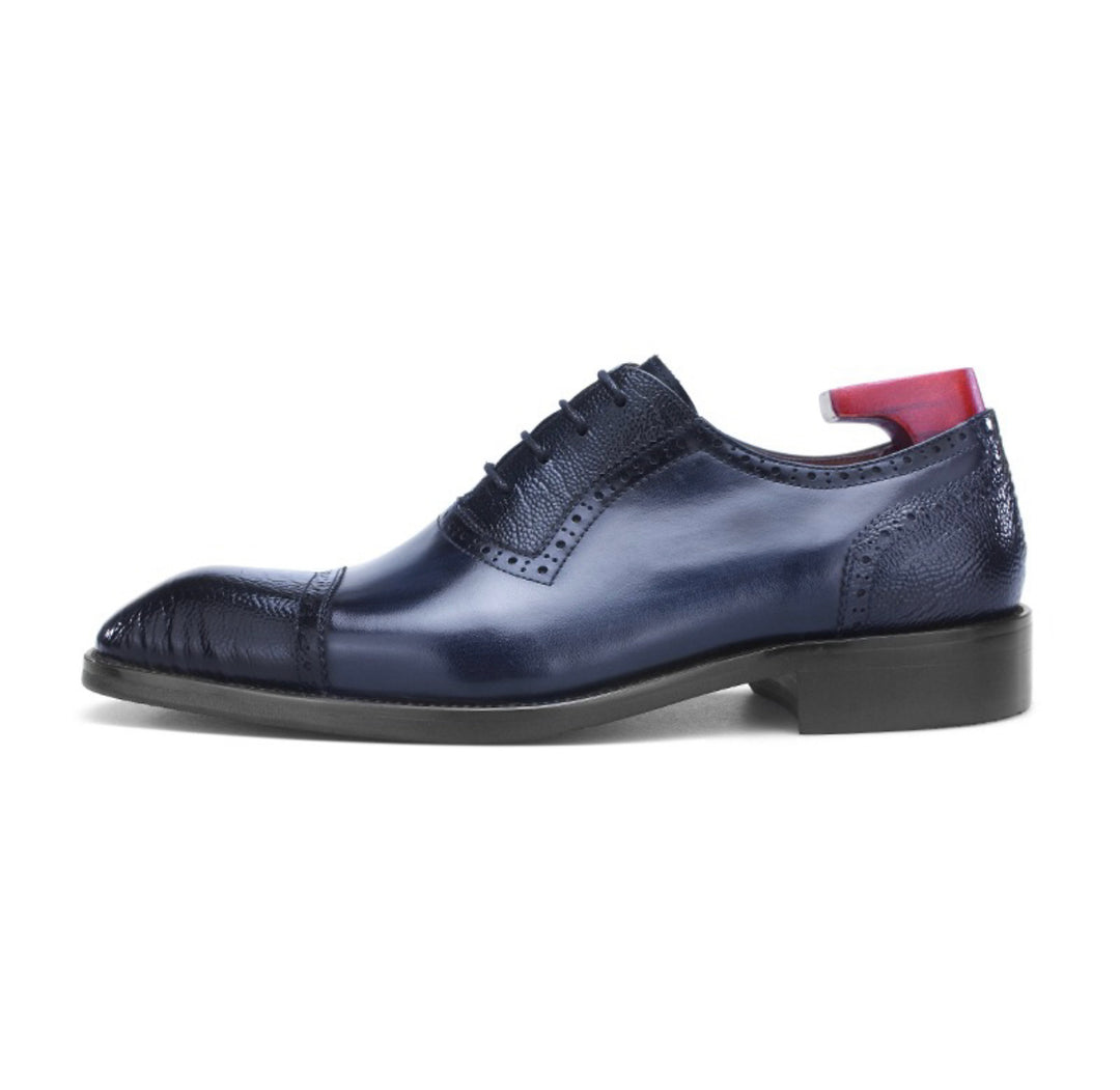Oxford G64-B603